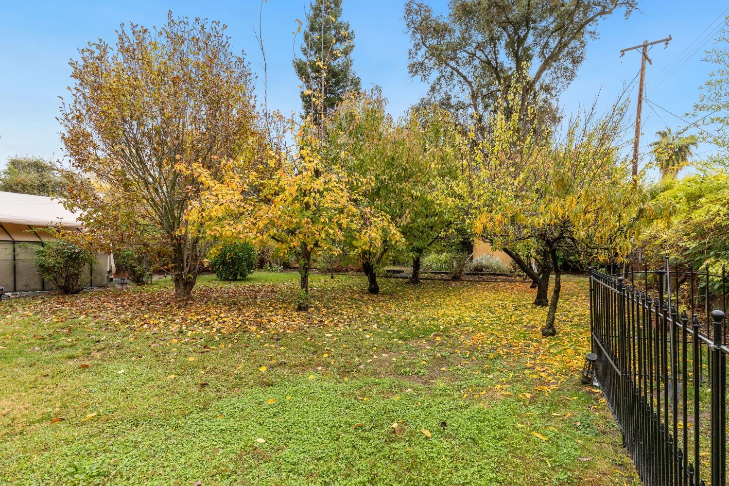 Detail Gallery Image 25 of 36 For 8208 Catalpa Drive, Citrus Heights,  CA 95610 - 3 Beds | 2 Baths