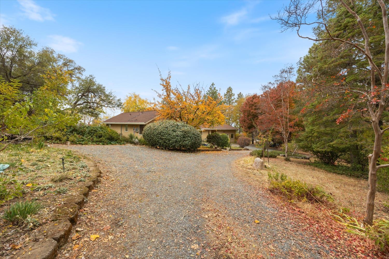 Detail Gallery Image 62 of 63 For 1028 Woodridge Rd, Placerville,  CA 95667 - 3 Beds | 2/1 Baths