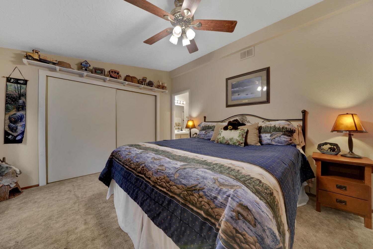 Detail Gallery Image 18 of 31 For 27395 W Chaparral Dr, Pioneer,  CA 95666 - 3 Beds | 2 Baths