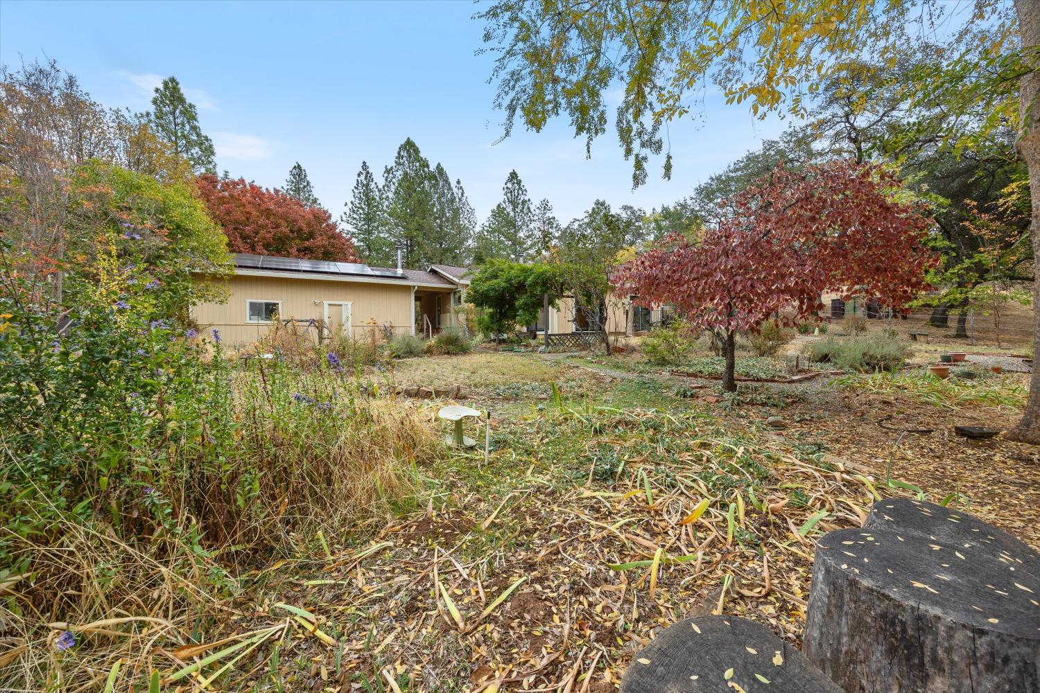 Detail Gallery Image 50 of 63 For 1028 Woodridge Rd, Placerville,  CA 95667 - 3 Beds | 2/1 Baths