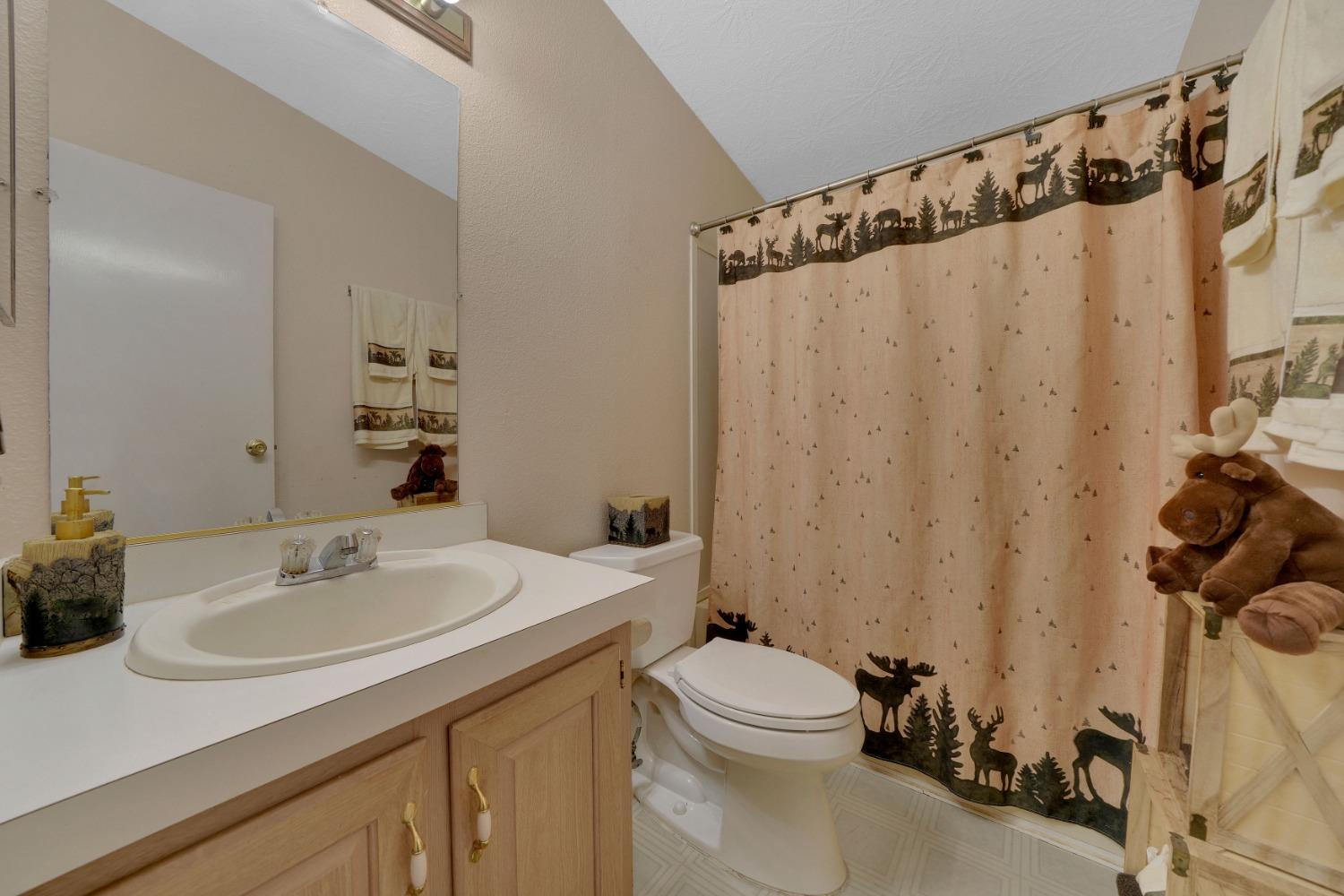 Detail Gallery Image 23 of 31 For 27395 W Chaparral Dr, Pioneer,  CA 95666 - 3 Beds | 2 Baths