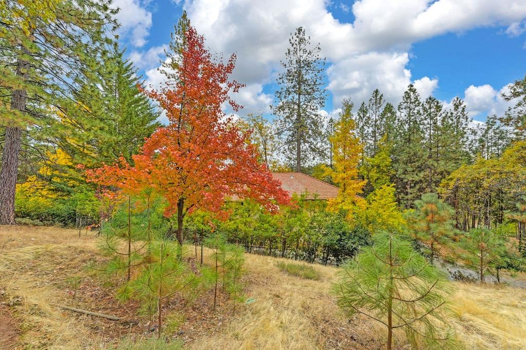 Detail Gallery Image 55 of 78 For 20860 Todd Valley Rd, Foresthill,  CA 95631 - 4 Beds | 3 Baths