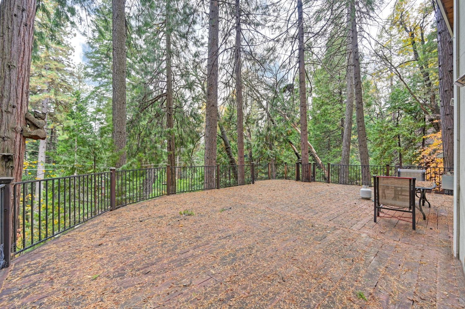 Detail Gallery Image 44 of 63 For 6550 Onyx Trl, Pollock Pines,  CA 95726 - 3 Beds | 3 Baths