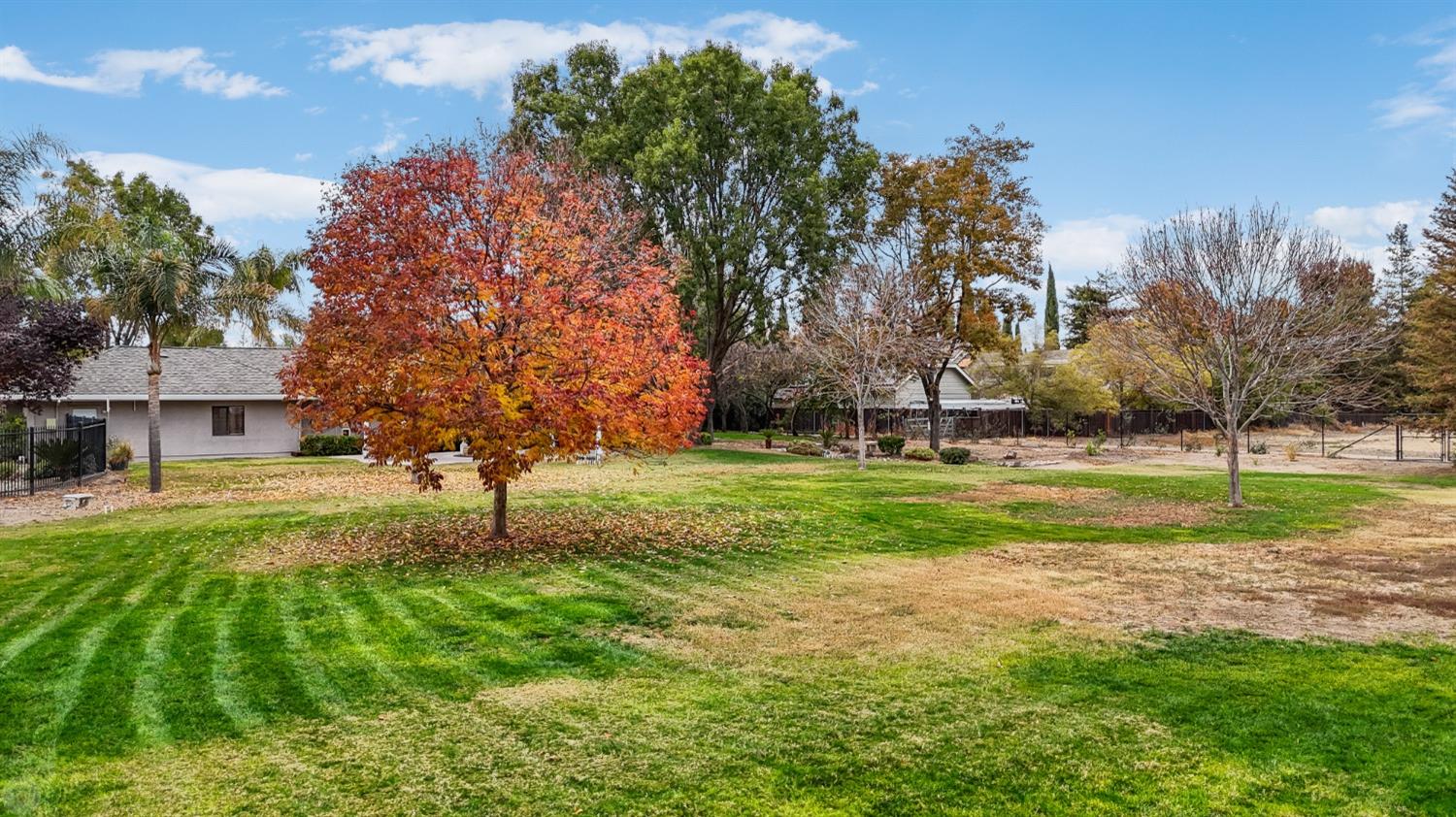 Detail Gallery Image 76 of 91 For 8351 Rinauro Ct, Tracy,  CA 95304 - 4 Beds | 3/1 Baths