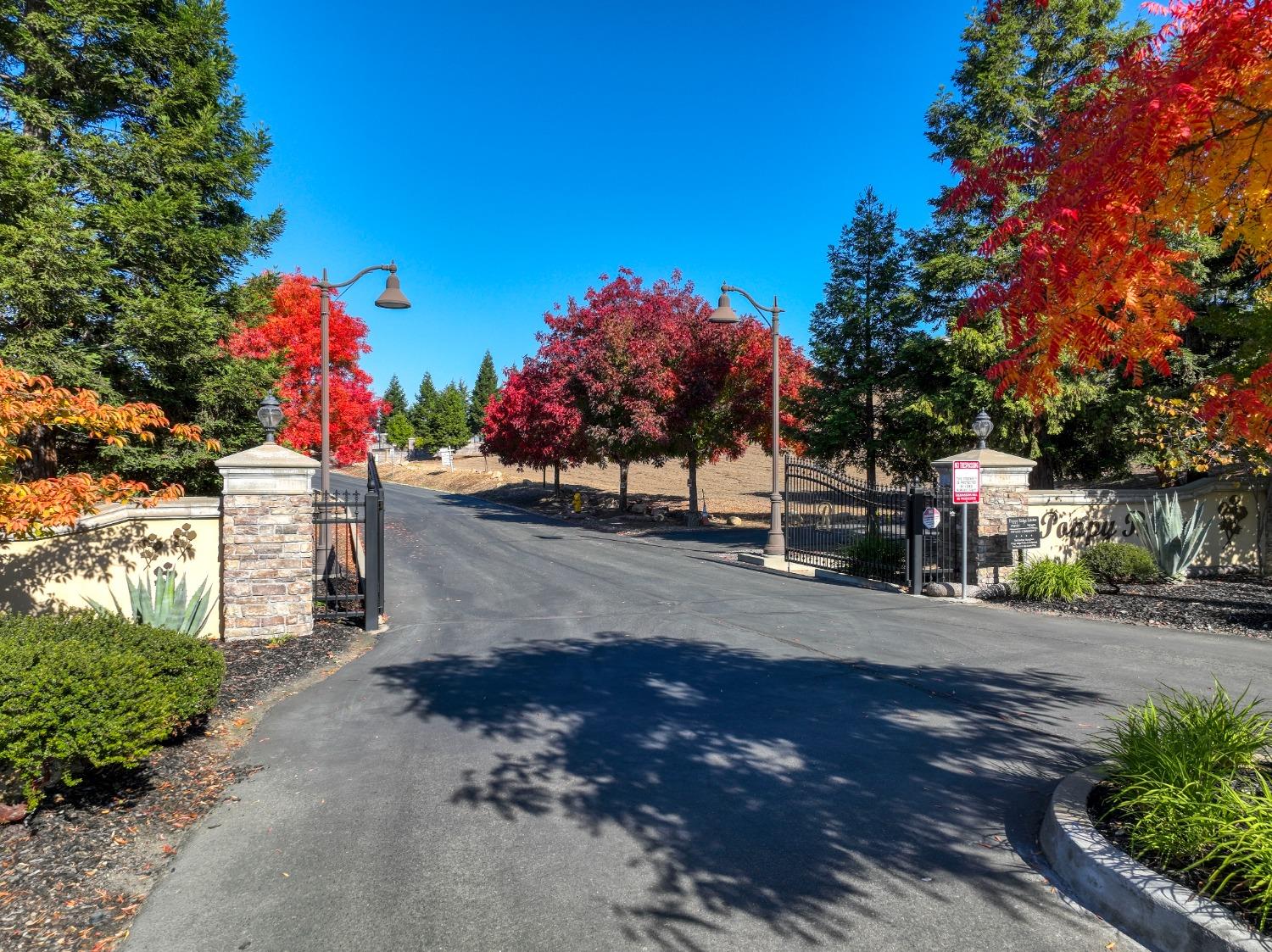 Lot 1 Poppy Ridge Court, Loomis, California image 1