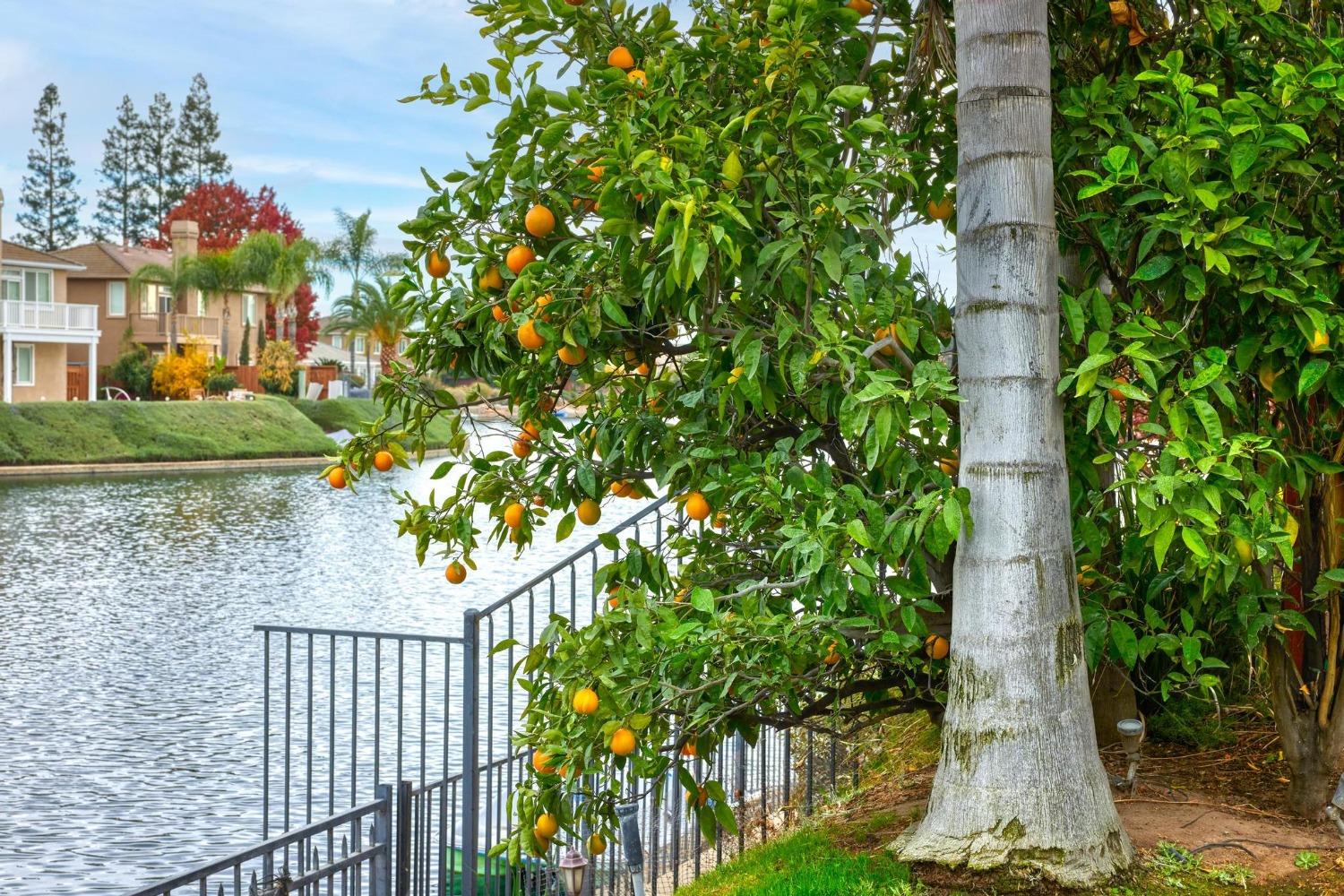 Detail Gallery Image 51 of 61 For 3220 Sundance Lake Dr, Modesto,  CA 95355 - 5 Beds | 3/1 Baths