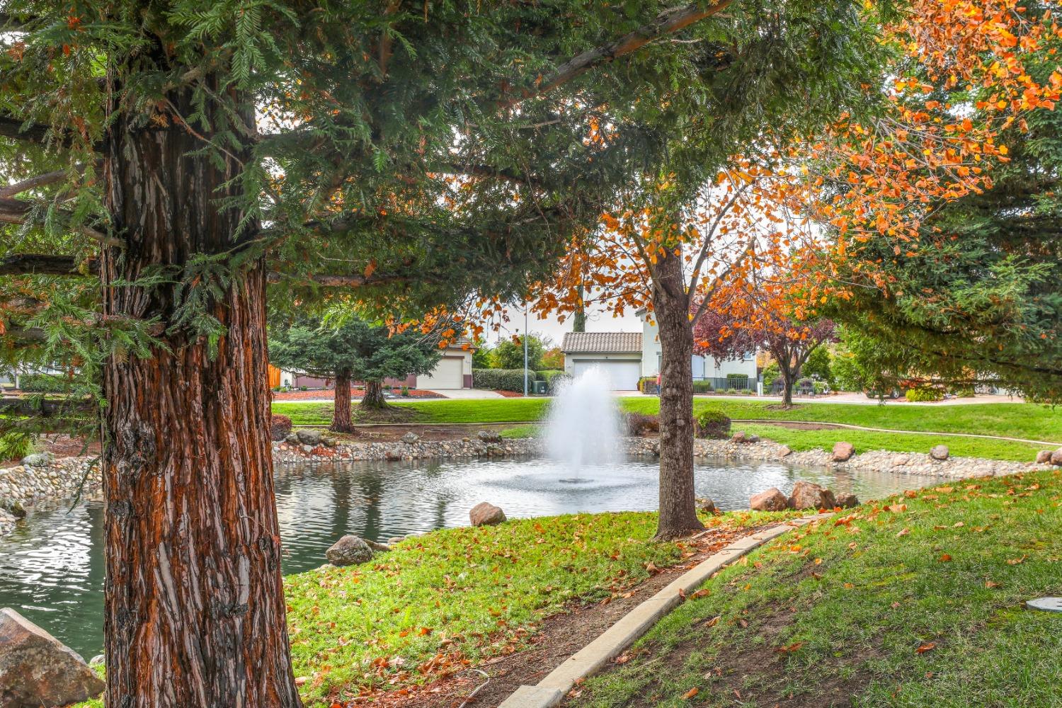 Detail Gallery Image 12 of 16 For 341 Sun Shower Cir, Sacramento,  CA 95823 - 3 Beds | 3 Baths