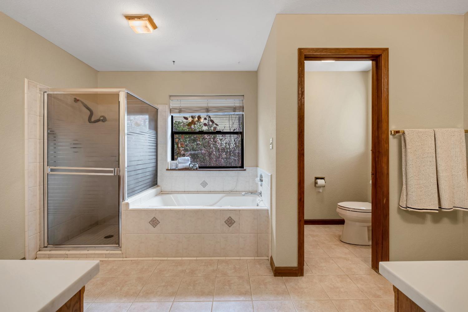 Detail Gallery Image 30 of 71 For 15023 Rio Cir, Rancho Murieta,  CA 95683 - 5 Beds | 2/1 Baths