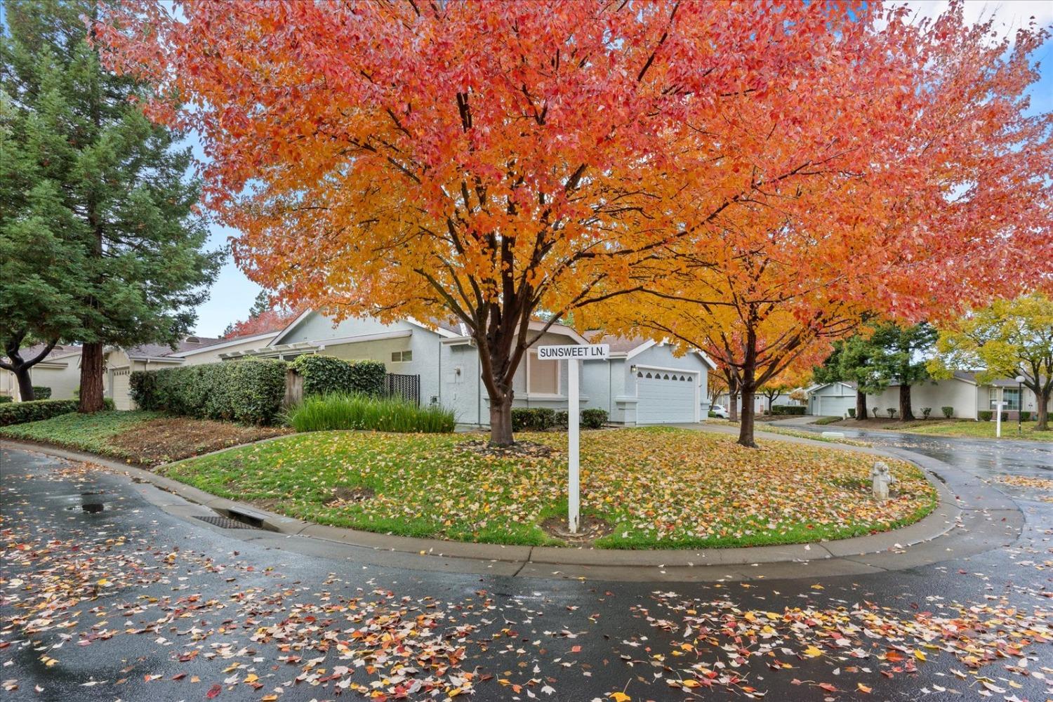 Detail Gallery Image 3 of 60 For 7598 Sunmore Ln, Sacramento,  CA 95828 - 2 Beds | 2 Baths