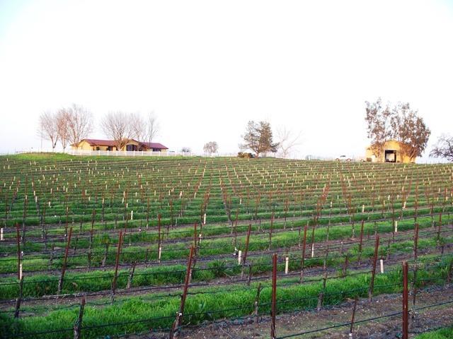 Detail Gallery Image 3 of 4 For 19505 Atkins Rd, Lodi,  CA 95240 - – Beds | – Baths