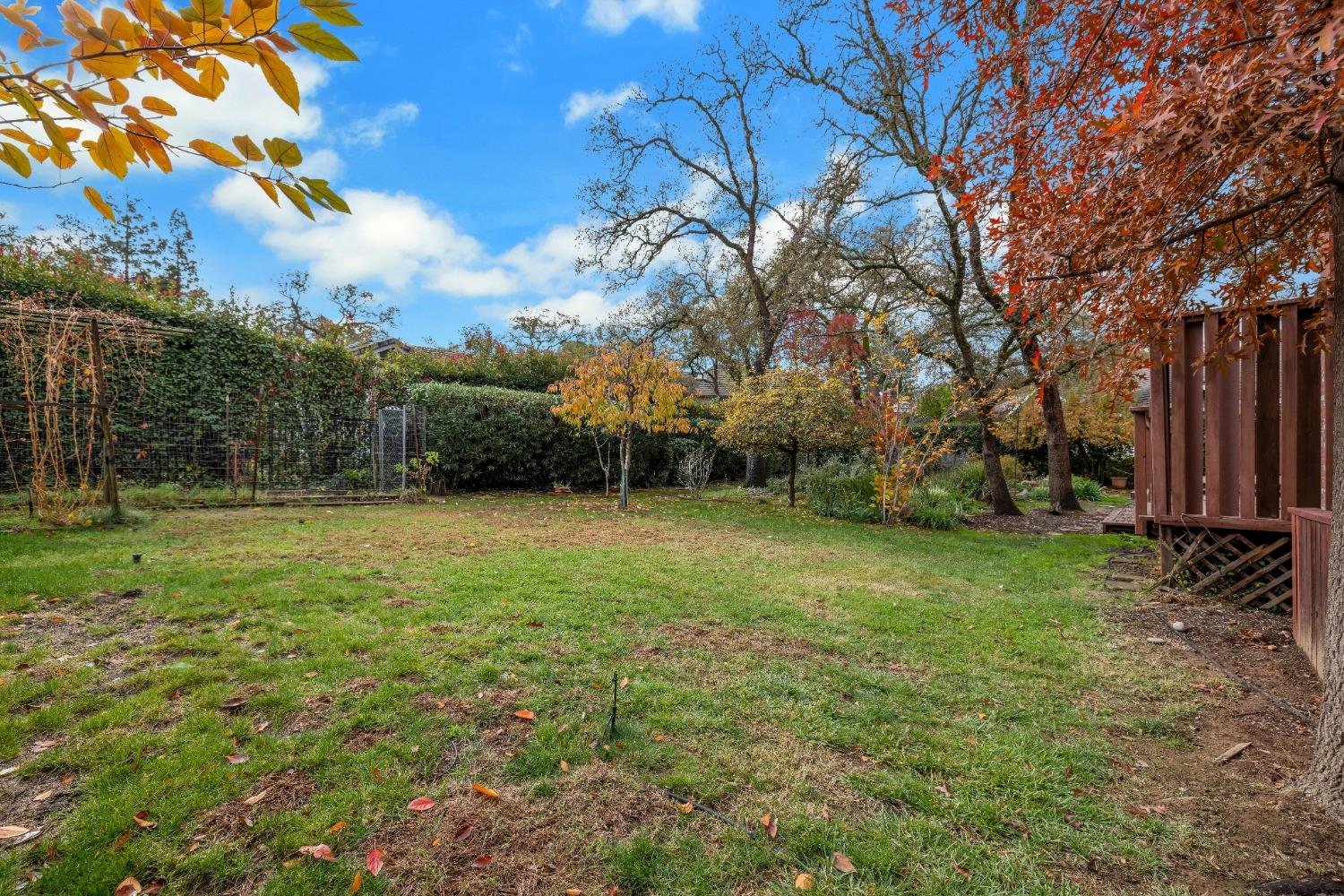 Detail Gallery Image 60 of 71 For 15023 Rio Cir, Rancho Murieta,  CA 95683 - 5 Beds | 2/1 Baths