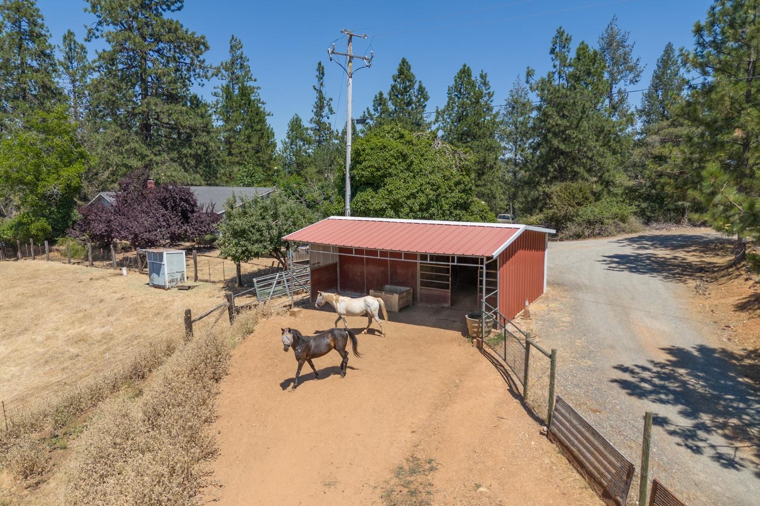 Hayford Road, Colfax, California image 38