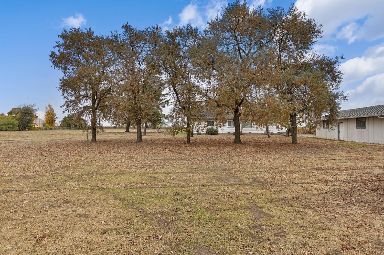 Detail Gallery Image 7 of 55 For 15355 Free Rd, Lodi,  CA 95242 - 4 Beds | 2 Baths