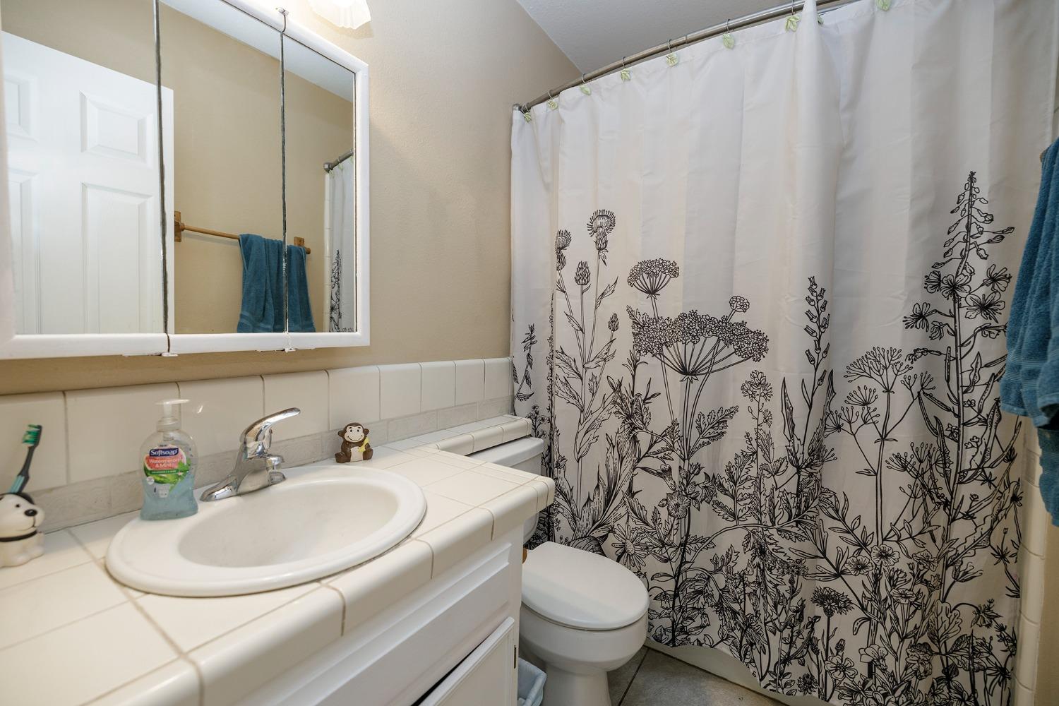 Detail Gallery Image 22 of 31 For 46 Willowood Dr, Oakdale,  CA 95361 - 3 Beds | 2 Baths