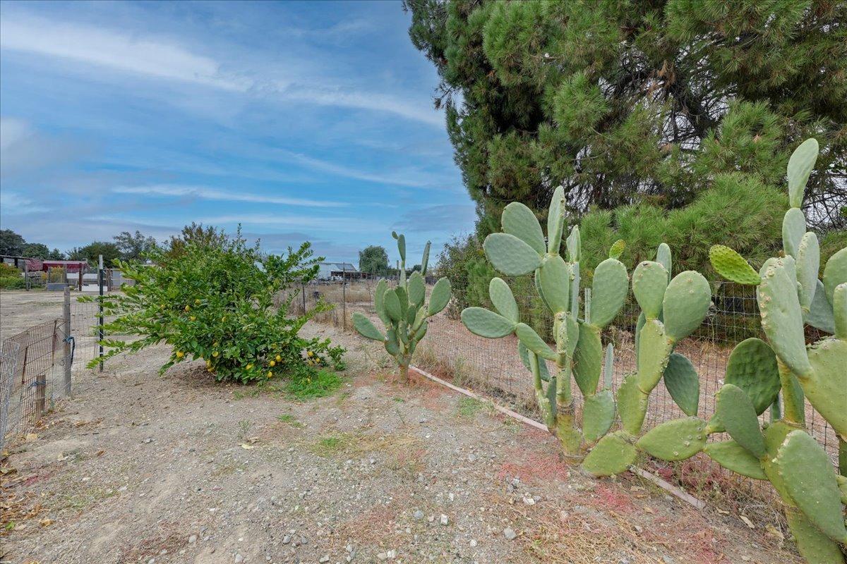 Detail Gallery Image 3 of 27 For 2762 County Road 88 a,  Dunnigan,  CA 95937 - 3 Beds | 2/1 Baths