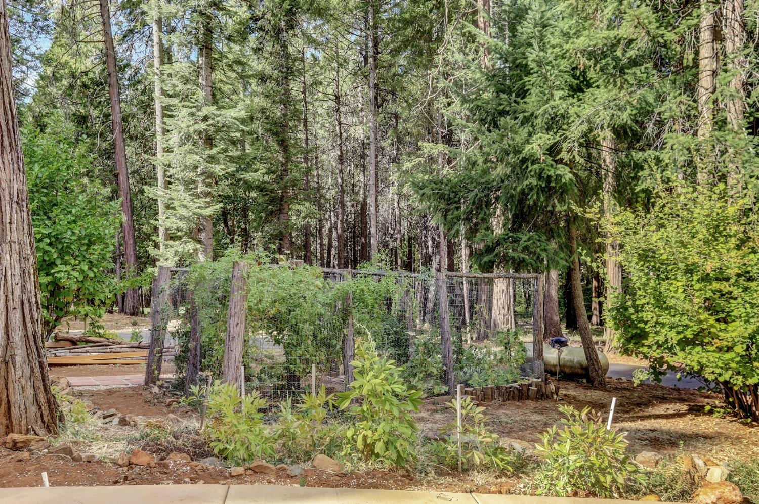 Detail Gallery Image 54 of 95 For 13094 Tranquility Ln, Nevada City,  CA 95959 - 2 Beds | 2 Baths