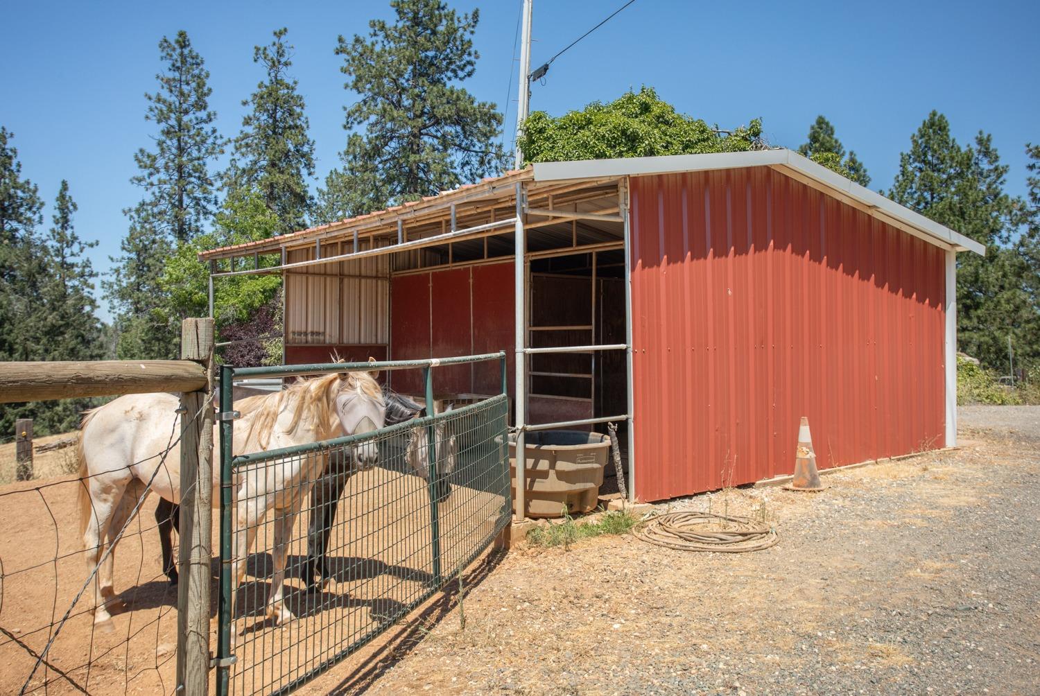 Hayford Road, Colfax, California image 39