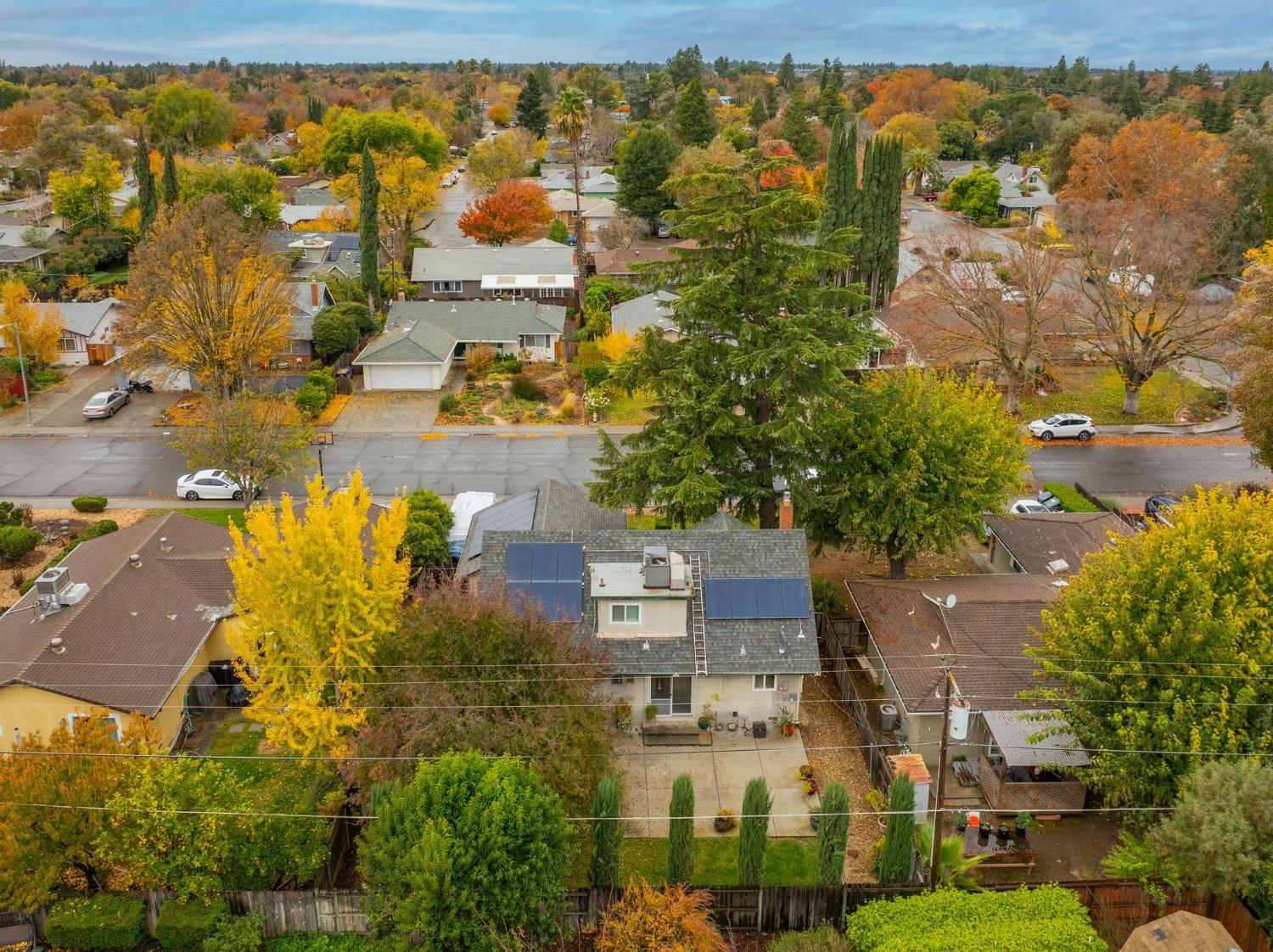 Manzanita Lane, Davis, California image 37