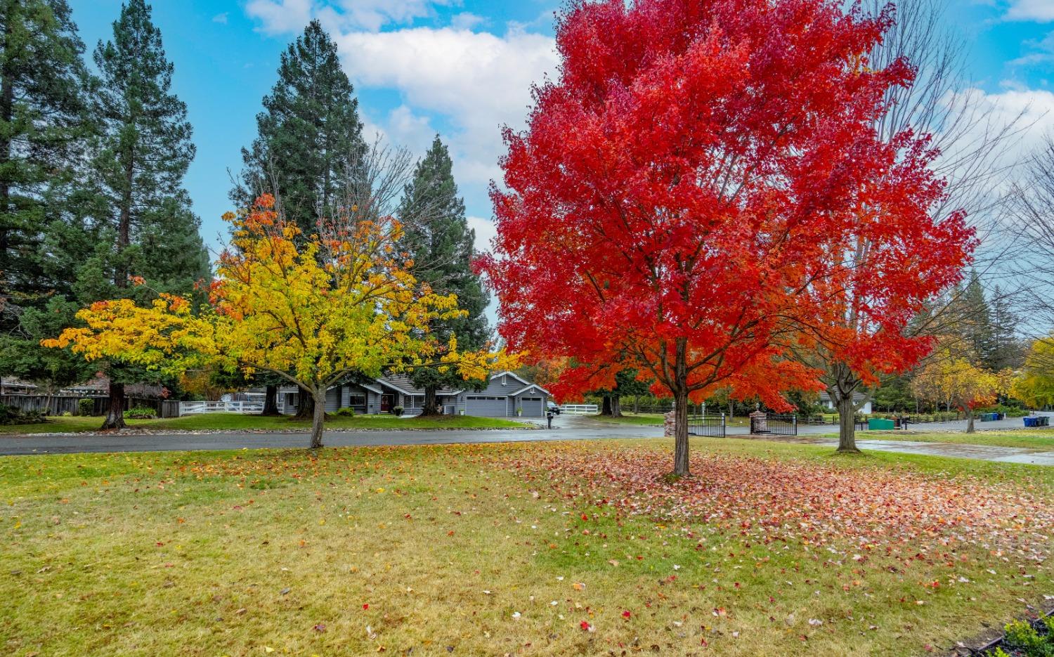 Linda Creek Court, Orangevale, California image 46