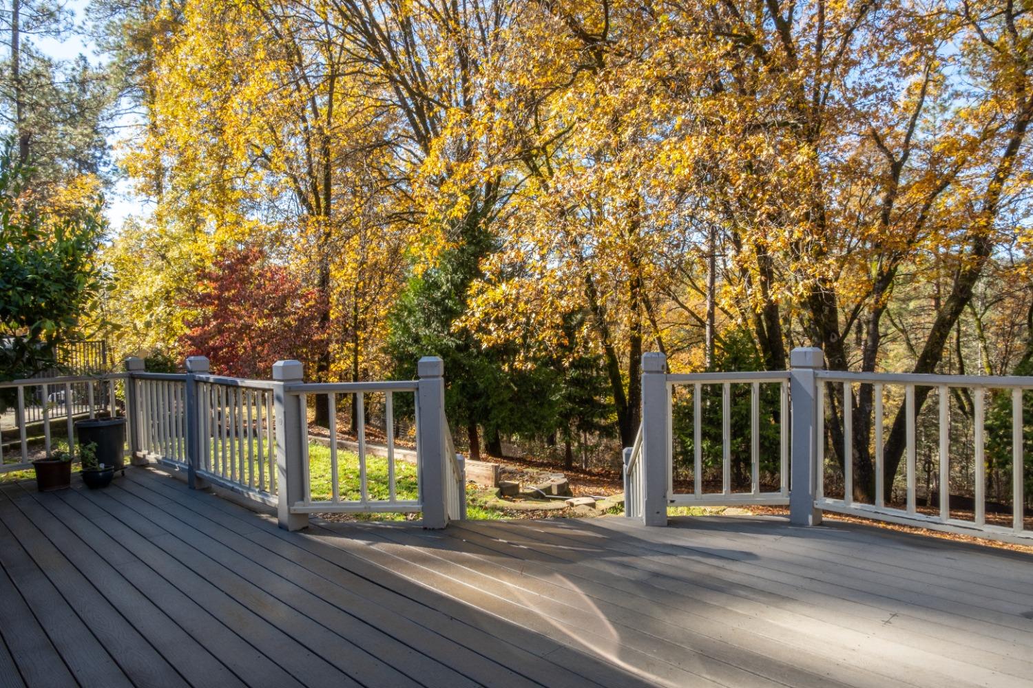 Detail Gallery Image 55 of 64 For 16102 Ariel Ct, Grass Valley,  CA 95949 - 4 Beds | 2 Baths