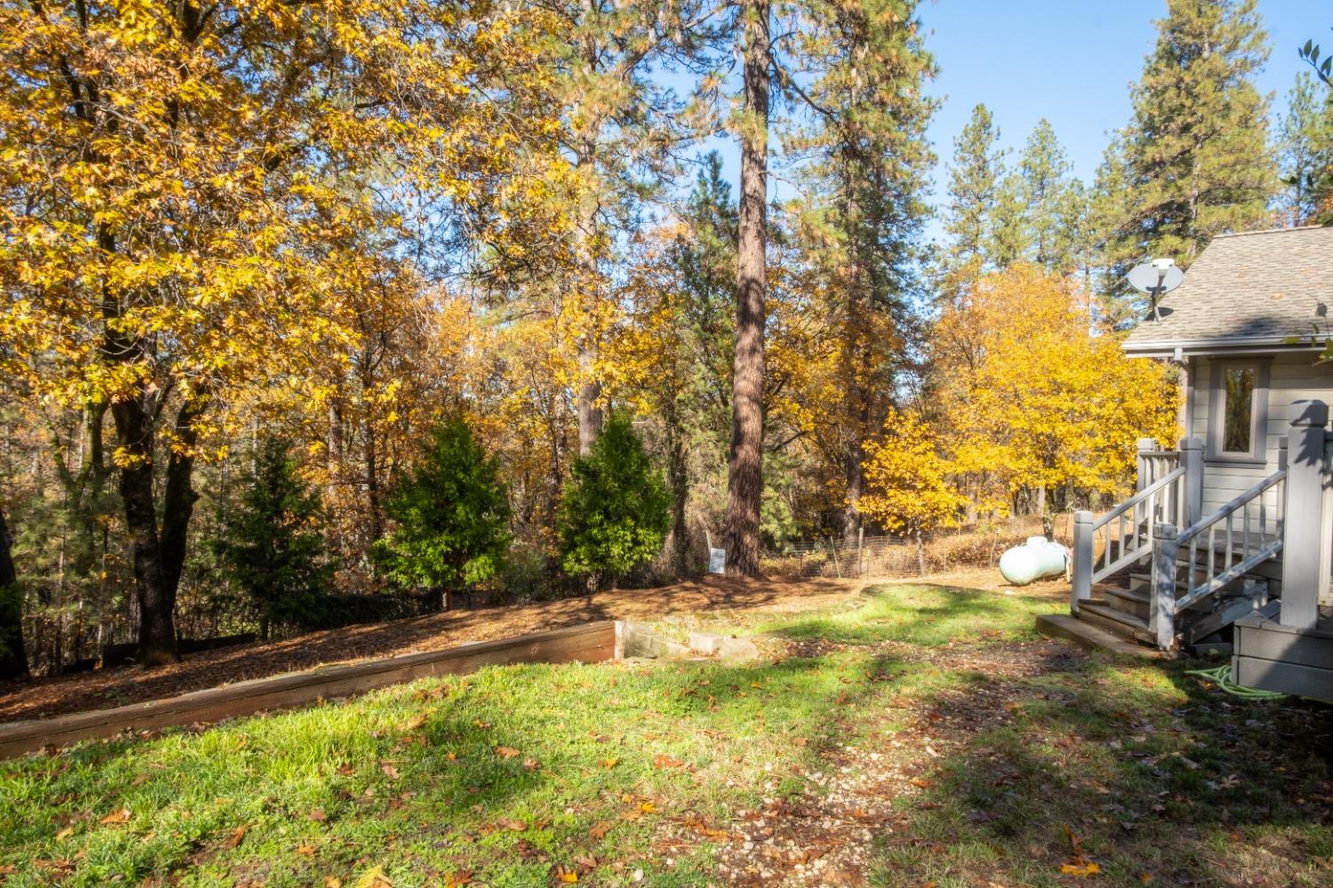 Detail Gallery Image 57 of 64 For 16102 Ariel Ct, Grass Valley,  CA 95949 - 4 Beds | 2 Baths