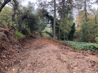 Estey Way, Placerville, California image 9