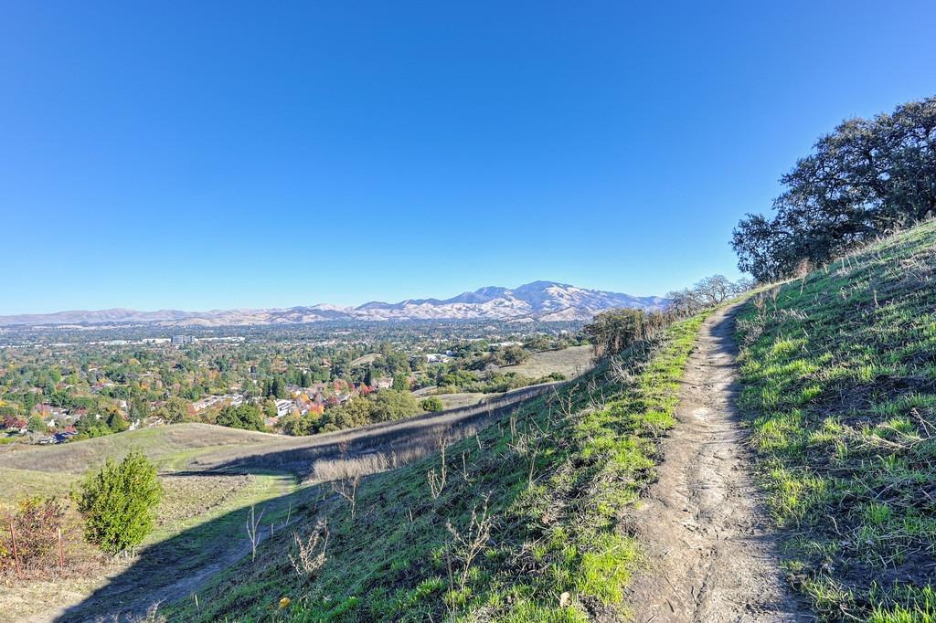 Detail Gallery Image 68 of 69 For 1920 Piper Ridge Ct, Walnut Creek,  CA 94597 - 3 Beds | 2/1 Baths