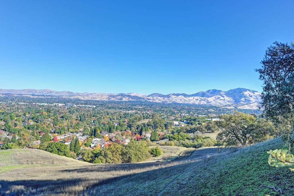 Detail Gallery Image 69 of 69 For 1920 Piper Ridge Ct, Walnut Creek,  CA 94597 - 3 Beds | 2/1 Baths