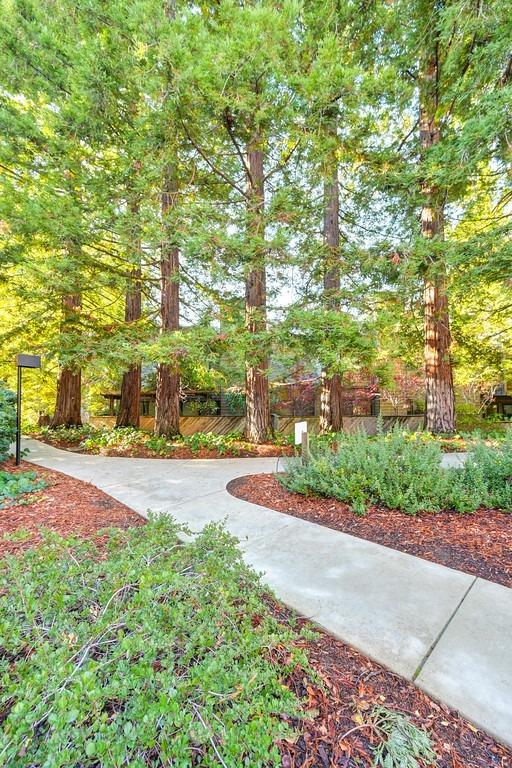 Detail Gallery Image 54 of 69 For 1920 Piper Ridge Ct, Walnut Creek,  CA 94597 - 3 Beds | 2/1 Baths