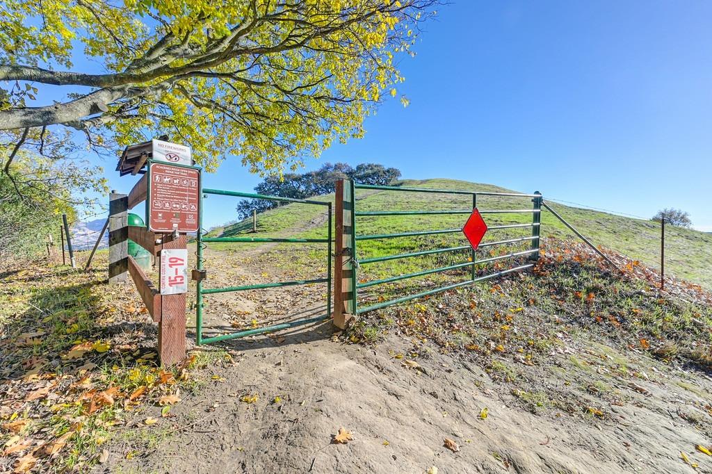 Detail Gallery Image 61 of 69 For 1920 Piper Ridge Ct, Walnut Creek,  CA 94597 - 3 Beds | 2/1 Baths