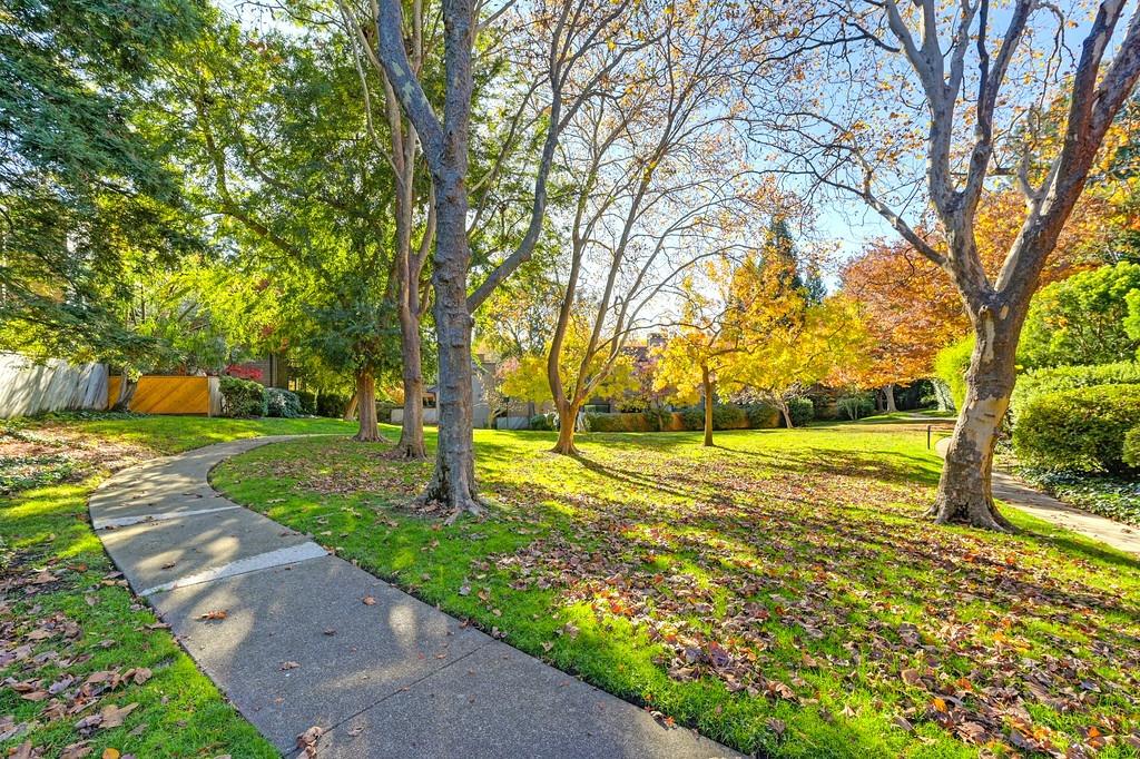 Detail Gallery Image 60 of 69 For 1920 Piper Ridge Ct, Walnut Creek,  CA 94597 - 3 Beds | 2/1 Baths