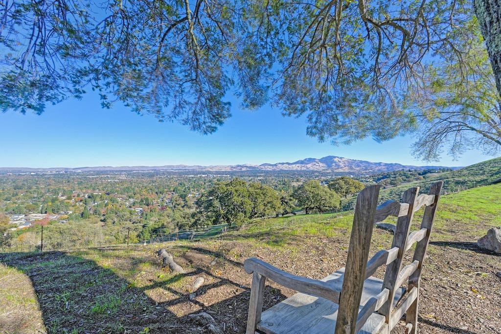 Detail Gallery Image 66 of 69 For 1920 Piper Ridge Ct, Walnut Creek,  CA 94597 - 3 Beds | 2/1 Baths