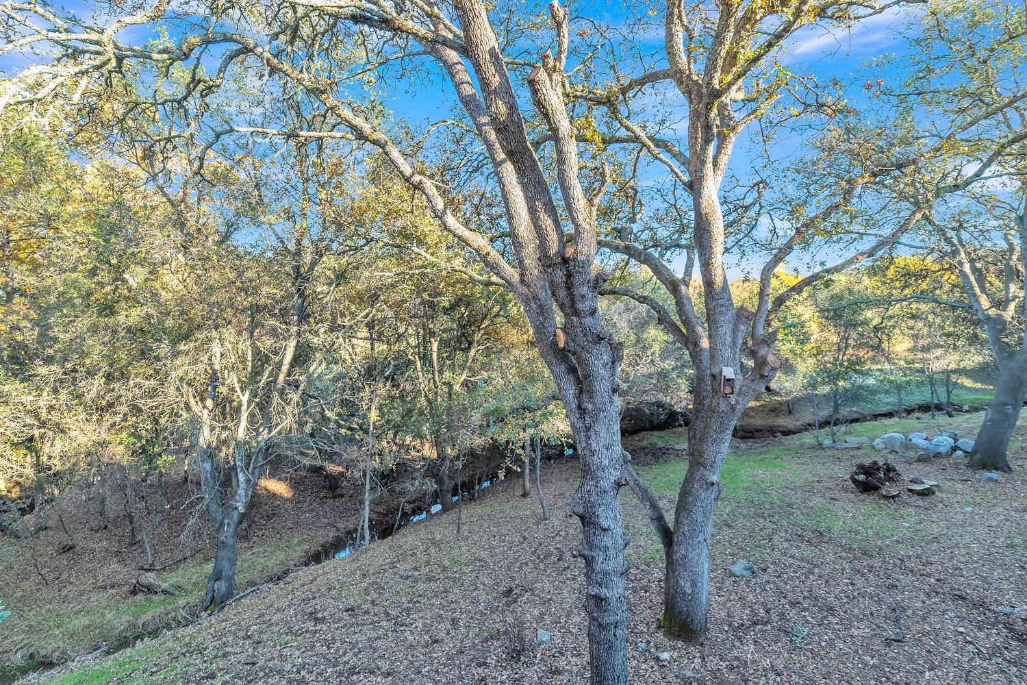 Detail Gallery Image 12 of 35 For 7105 Cinnamon Teal Way, El Dorado Hills,  CA 95762 - 3 Beds | 2 Baths