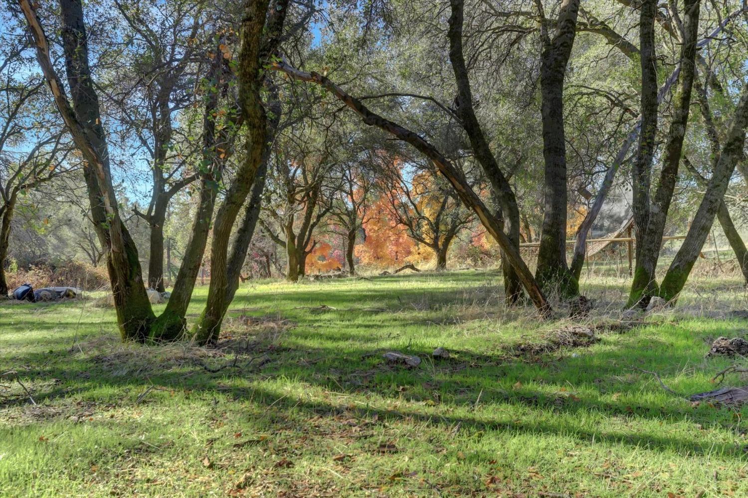 Detail Gallery Image 78 of 99 For 12860 Quarterhorse Dr, Grass Valley,  CA 95949 - 3 Beds | 3 Baths