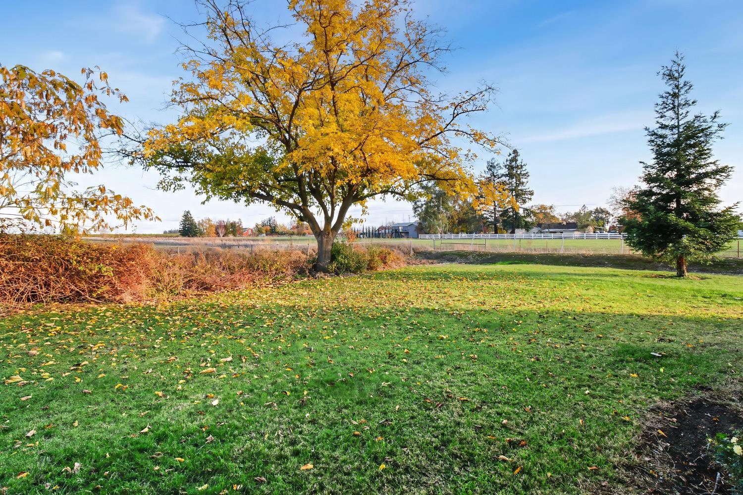 Detail Gallery Image 36 of 60 For 3366 Point Pleasant Rd, Elk Grove,  CA 95757 - 3 Beds | 2 Baths