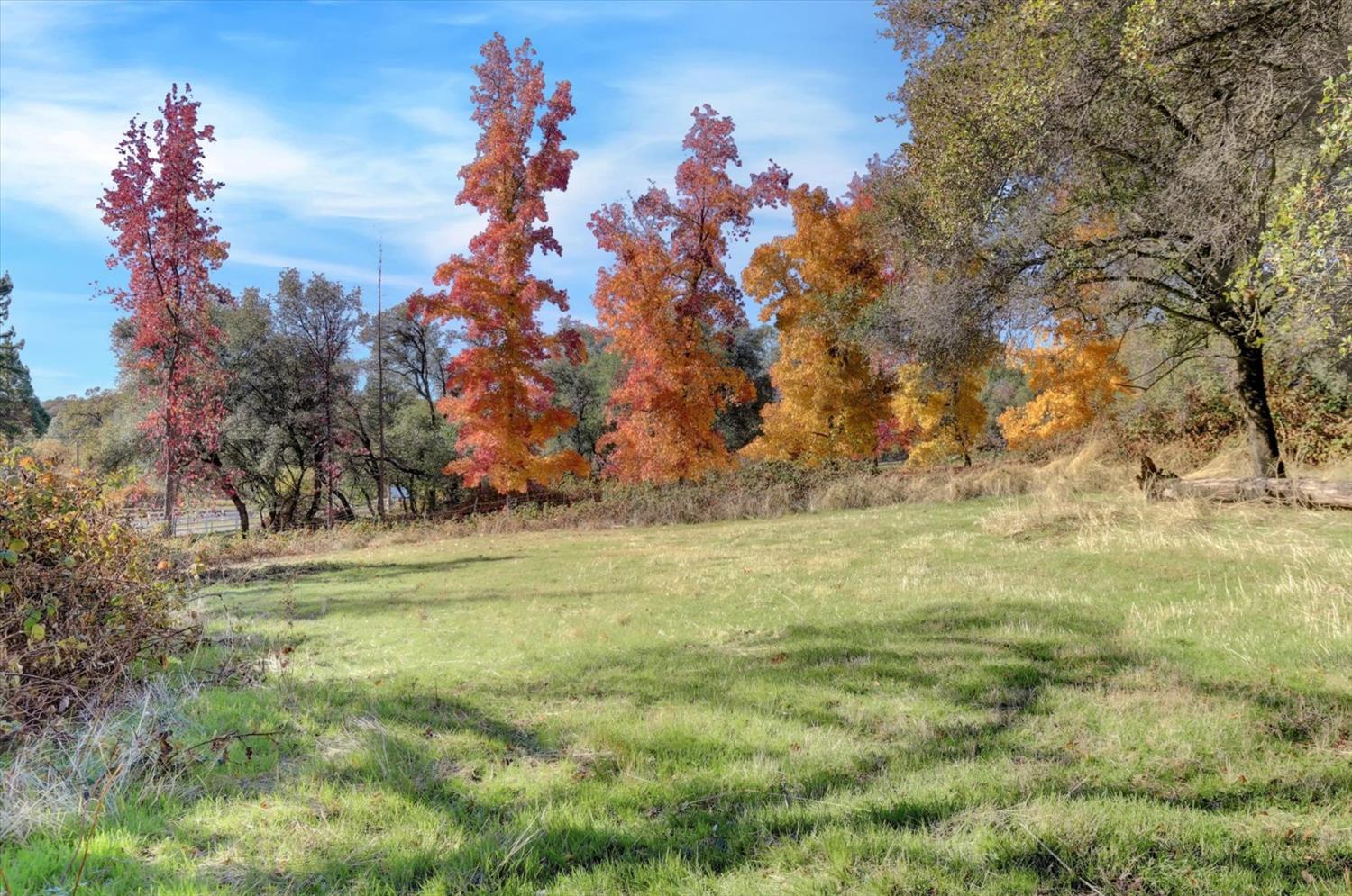 Detail Gallery Image 80 of 99 For 12860 Quarterhorse Dr, Grass Valley,  CA 95949 - 3 Beds | 3 Baths