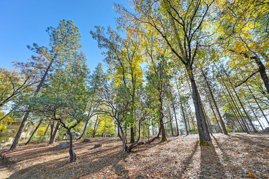 Detail Gallery Image 32 of 37 For 13416 Mystic Mine Rd, Nevada City,  CA 95959 - 2 Beds | 2 Baths