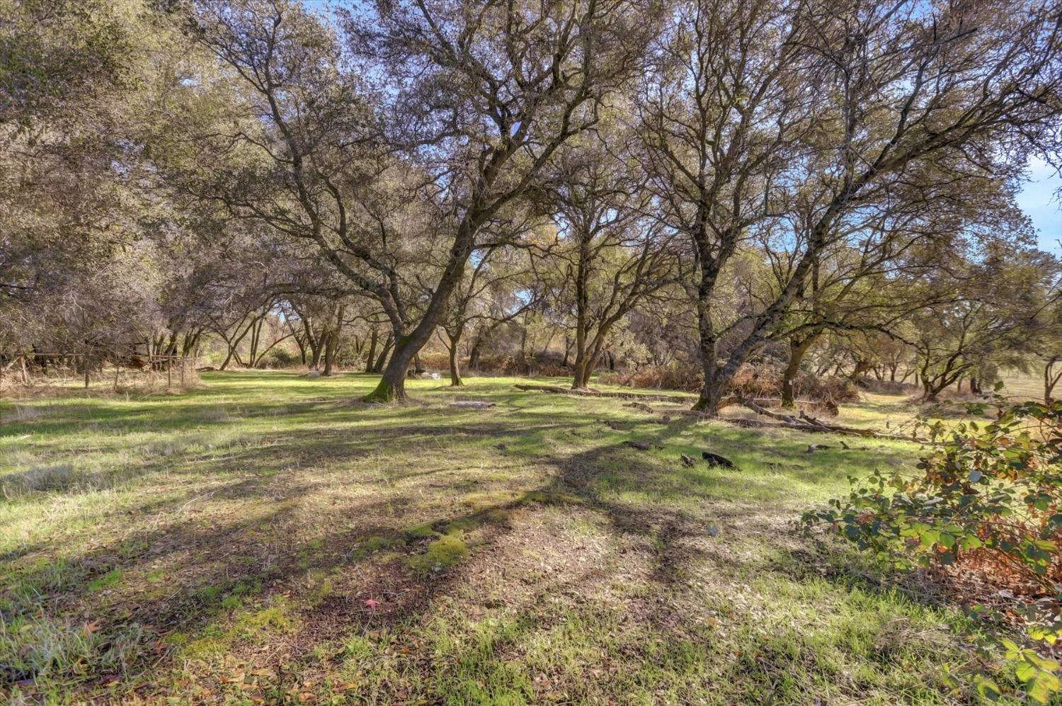 Detail Gallery Image 85 of 99 For 12860 Quarterhorse Dr, Grass Valley,  CA 95949 - 3 Beds | 3 Baths