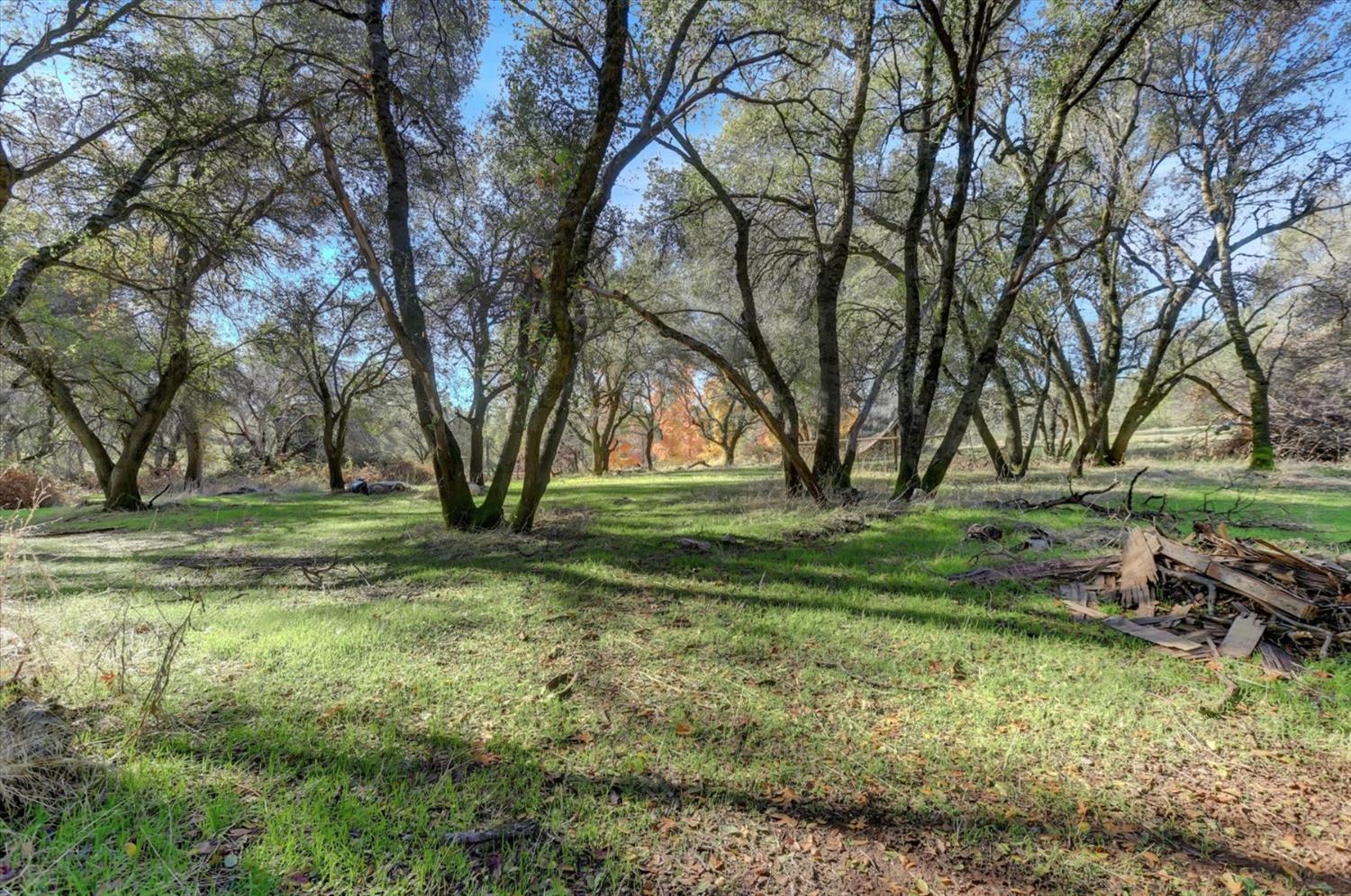 Detail Gallery Image 77 of 99 For 12860 Quarterhorse Dr, Grass Valley,  CA 95949 - 3 Beds | 3 Baths