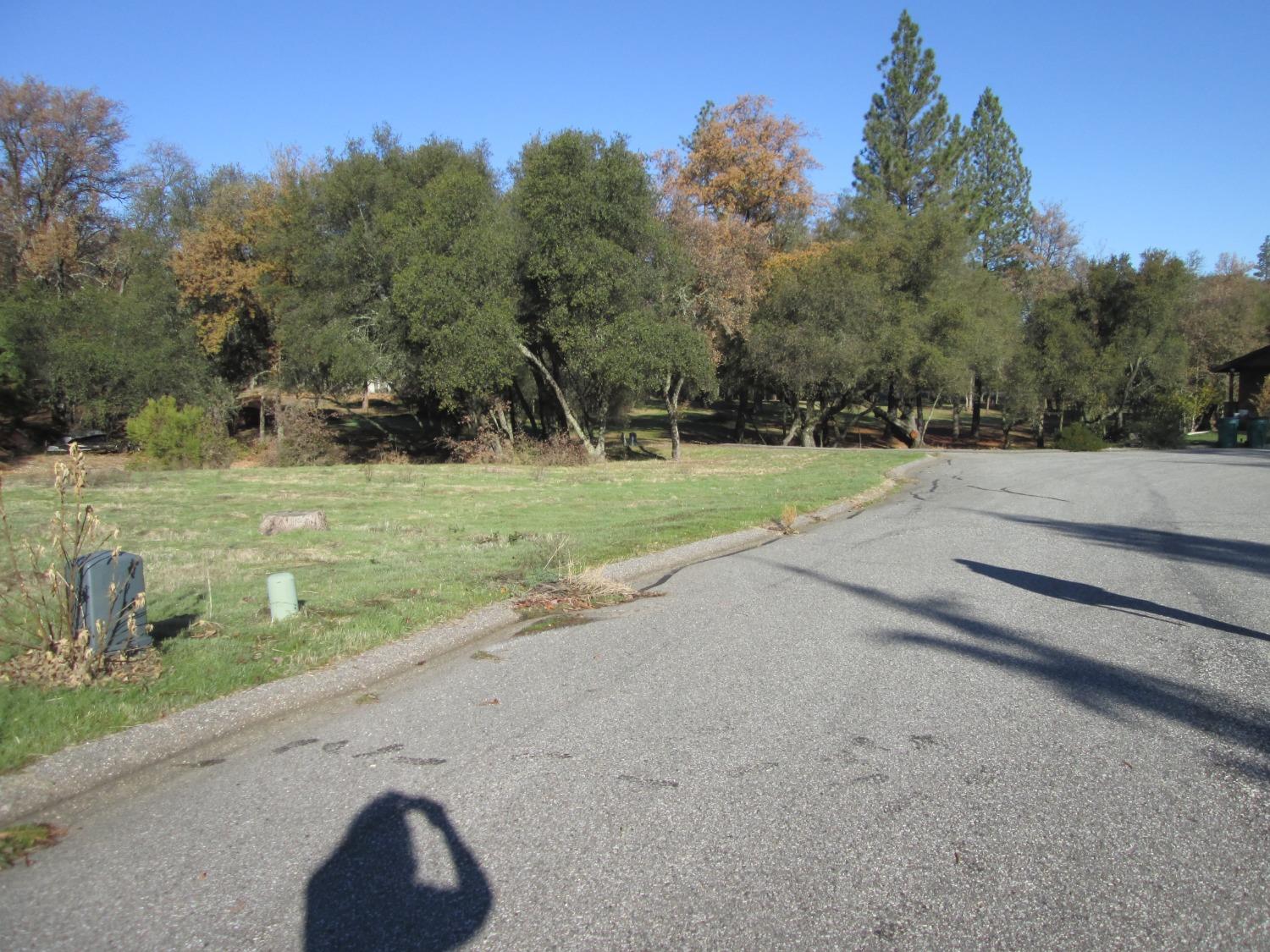 Valley Oak Court, Penn Valley, California image 6