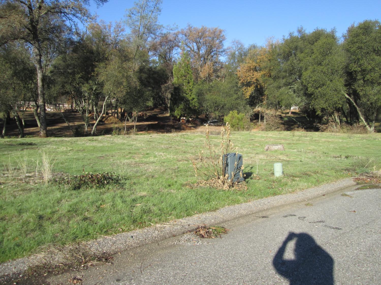 Valley Oak Court, Penn Valley, California image 5