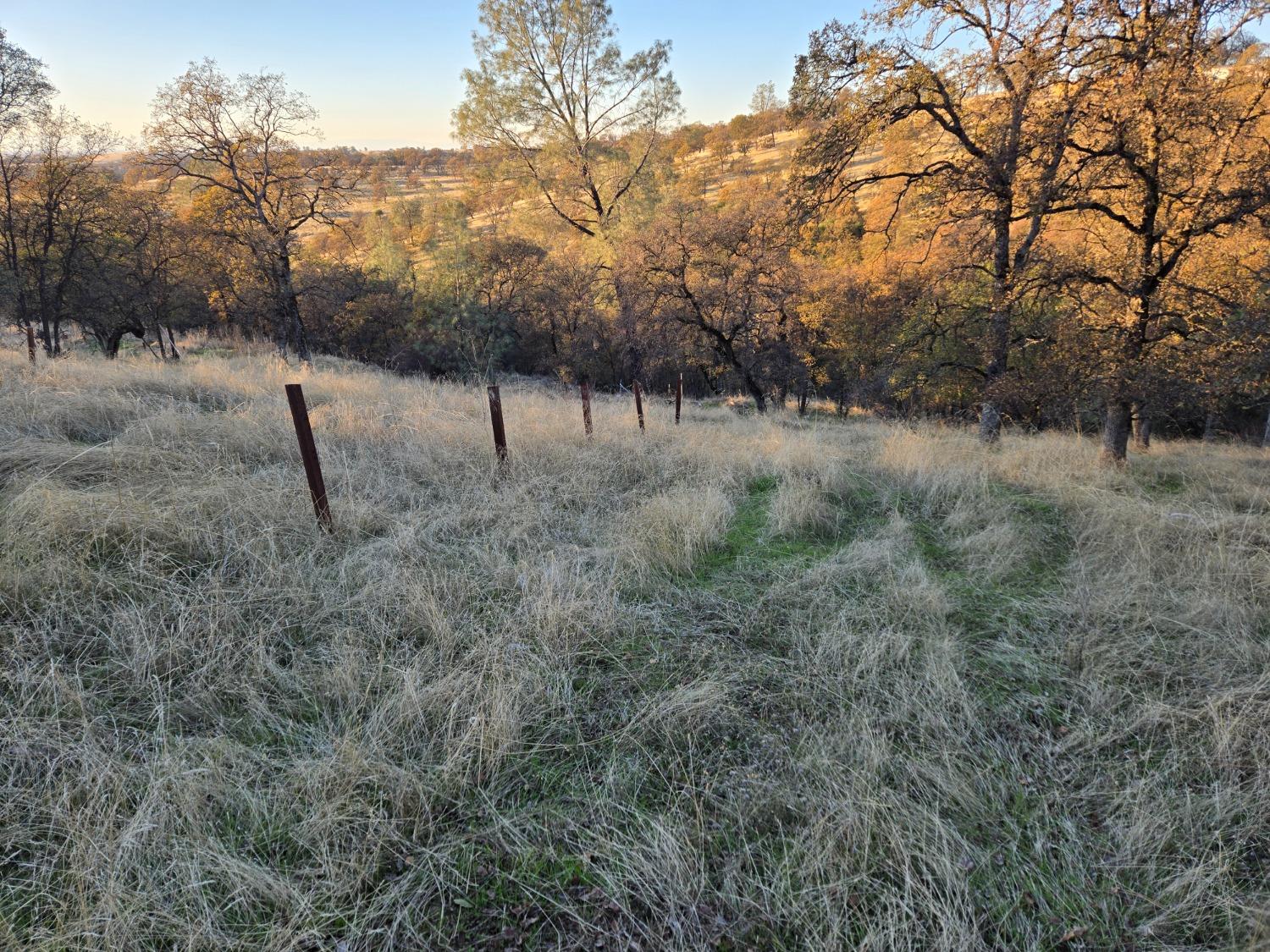 Detail Gallery Image 8 of 16 For 0 Avacado Rd, Oroville,  CA 95966 - – Beds | – Baths