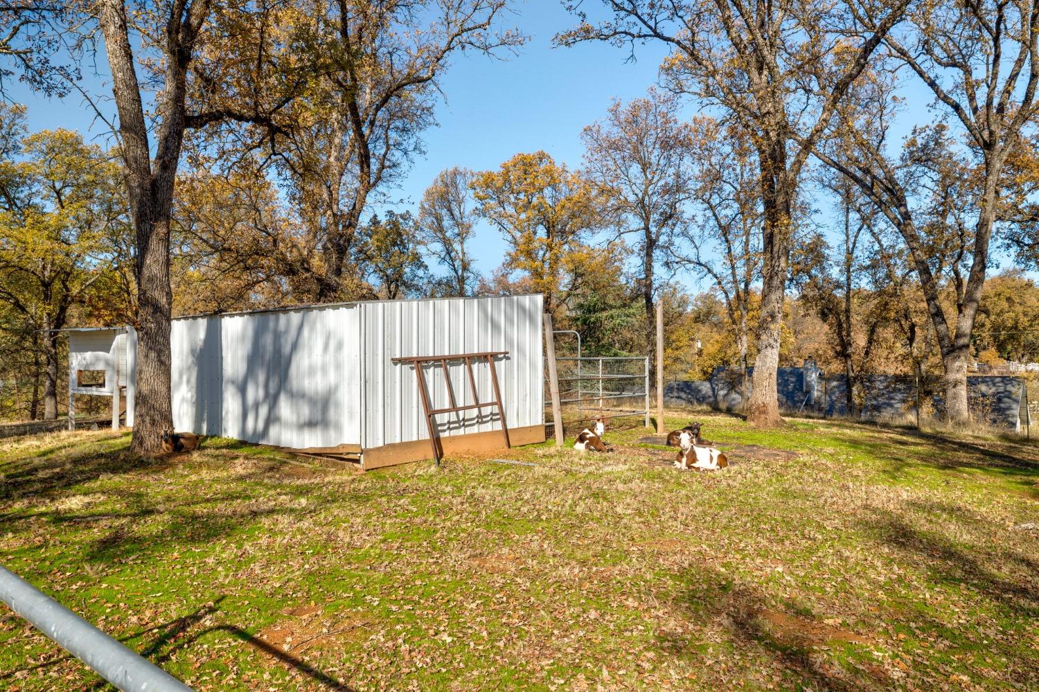 Detail Gallery Image 56 of 76 For 5730 Gold Leaf Ln, Placerville,  CA 95667 - 3 Beds | 2/1 Baths