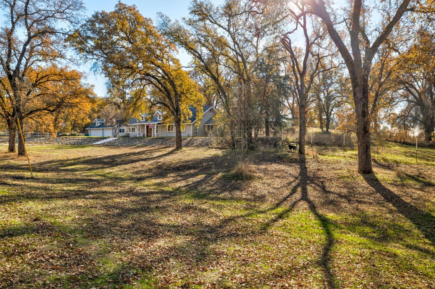 Detail Gallery Image 59 of 76 For 5730 Gold Leaf Ln, Placerville,  CA 95667 - 3 Beds | 2/1 Baths