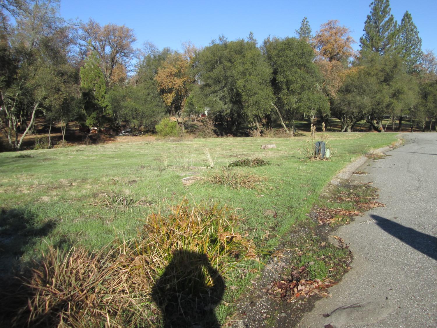 Valley Oak Court, Penn Valley, California image 4