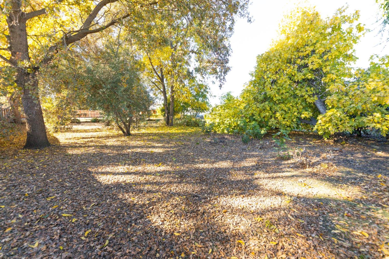 Detail Gallery Image 35 of 37 For 2972 Country Club Blvd, Stockton,  CA 95204 - 4 Beds | 2 Baths