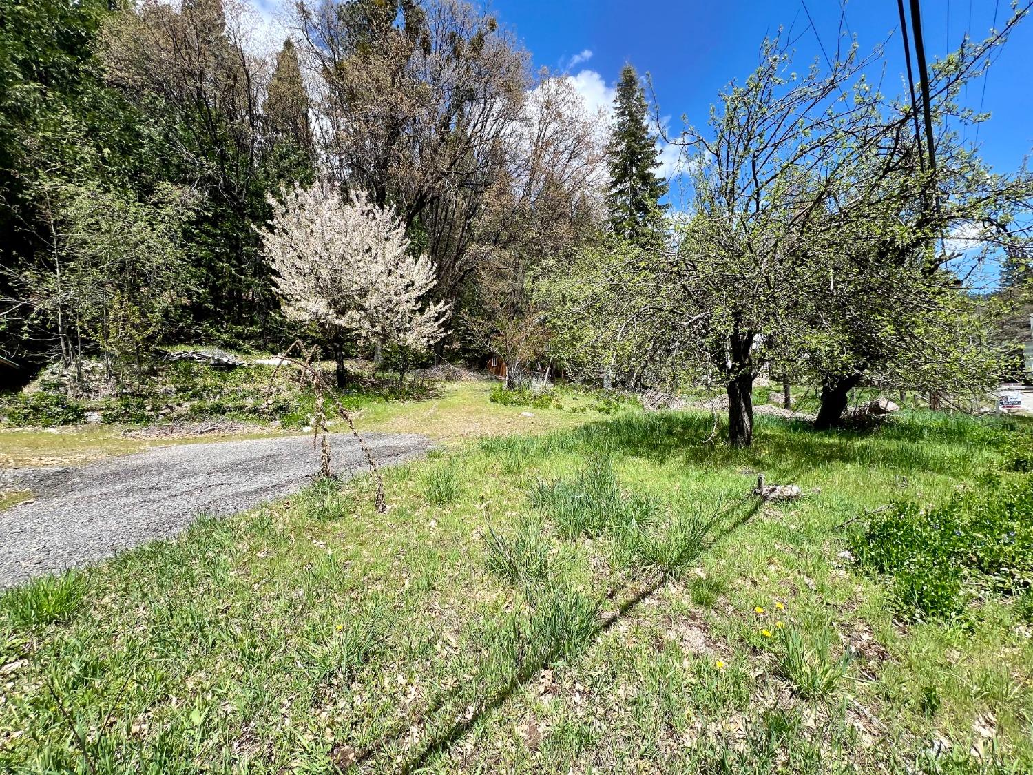 Main St., Sierra City, California image 6