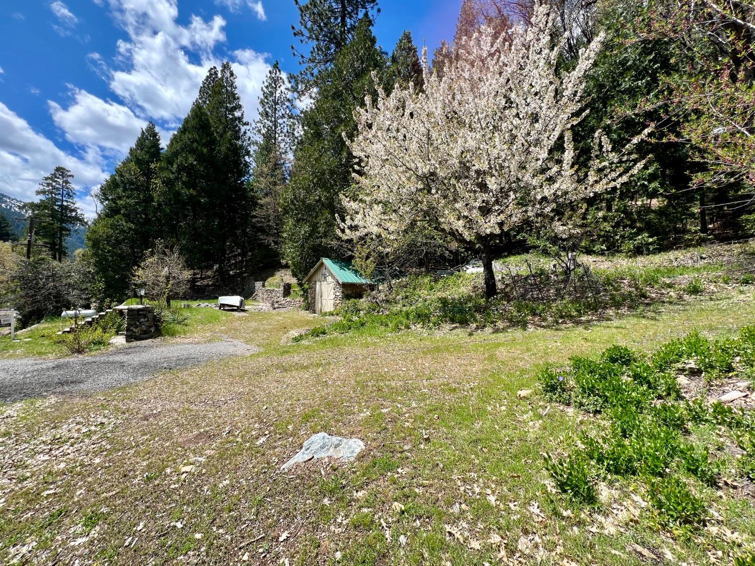 Main St., Sierra City, California image 8