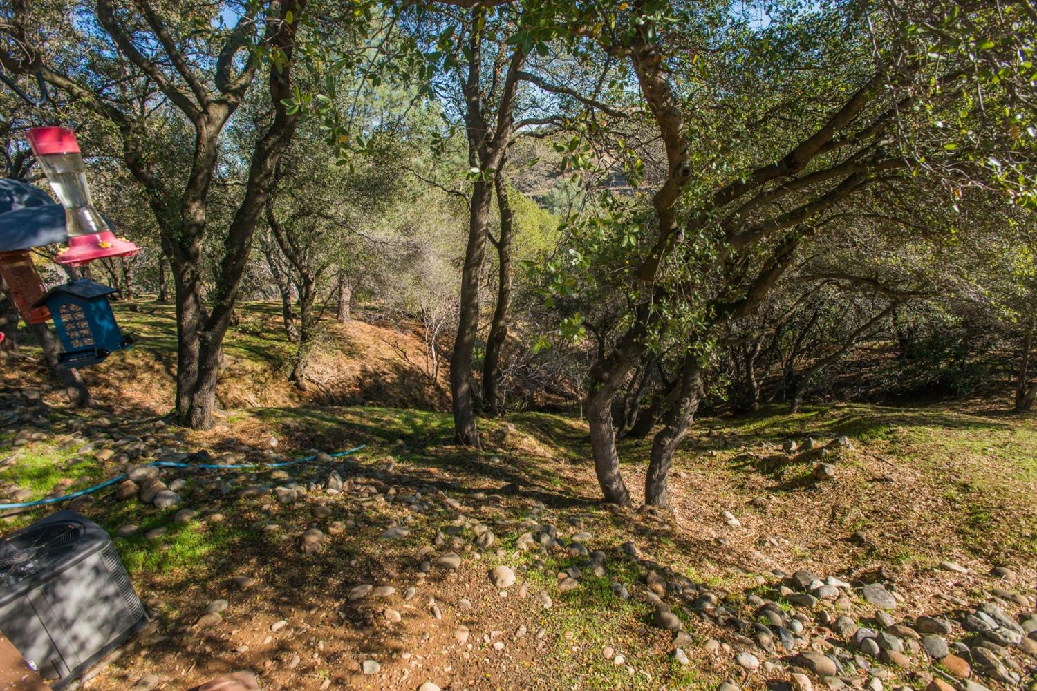 Detail Gallery Image 69 of 78 For 161 N Grant Ln, Folsom,  CA 95630 - 3 Beds | 2/1 Baths