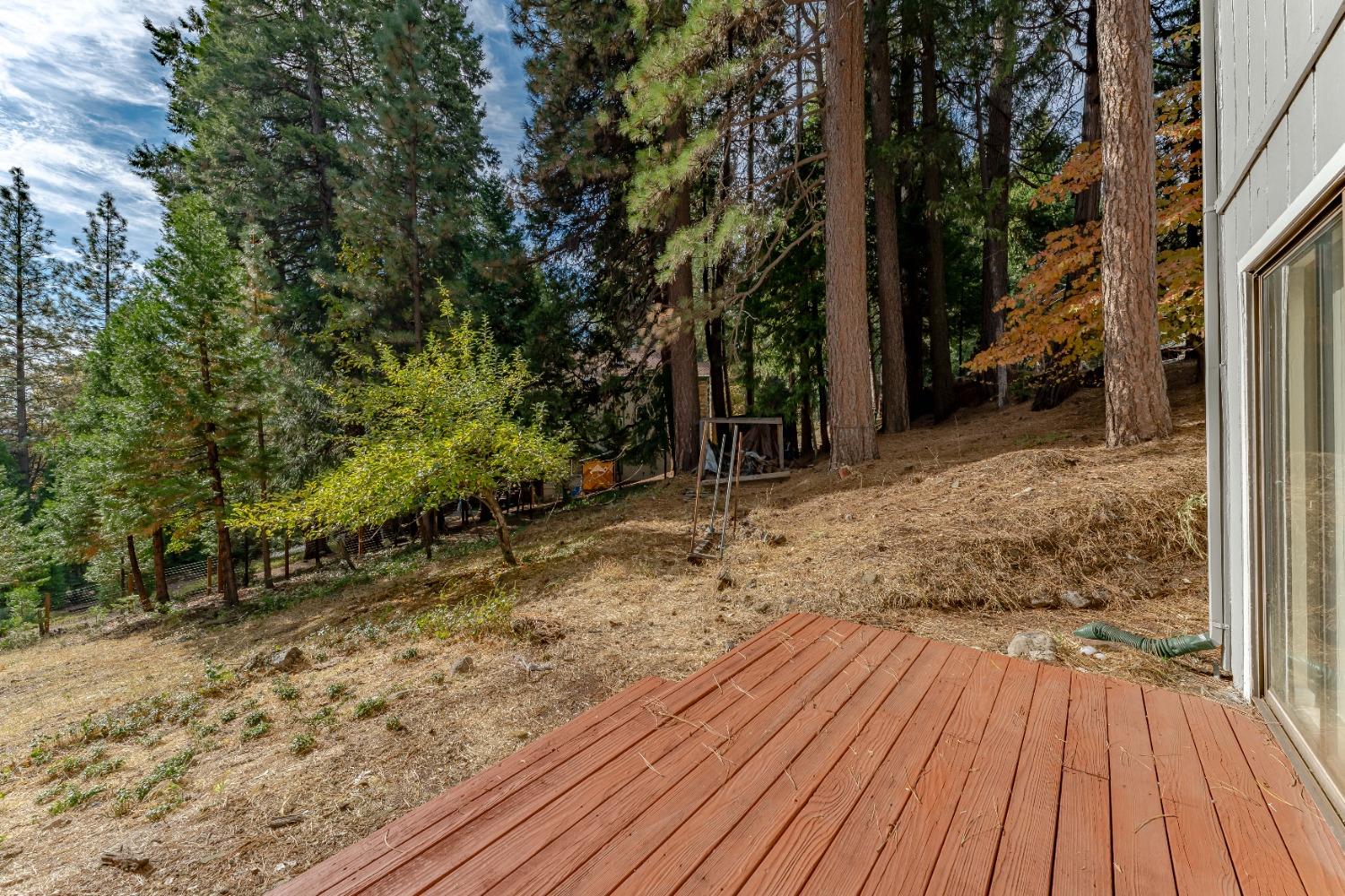 Detail Gallery Image 39 of 45 For 4363 Lakeridge Dr, Pollock Pines,  CA 95726 - 4 Beds | 2 Baths